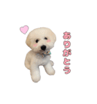 りんくんすきすき倶楽部（個別スタンプ：16）