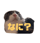 うめちゃんスタイル（個別スタンプ：4）