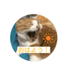 ビビチャンすたんぷ（個別スタンプ：4）