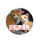 ビビチャンすたんぷ（個別スタンプ：7）