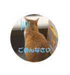ビビチャンすたんぷ（個別スタンプ：8）