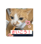ビビチャンすたんぷ（個別スタンプ：14）