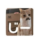 ビビチャンすたんぷ（個別スタンプ：15）