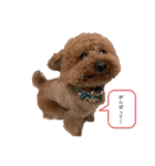 りゅう︎︎¨̮♡の日常会話♪♪（個別スタンプ：13）