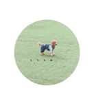 りゅう︎︎¨̮♡の日常会話♪♪（個別スタンプ：15）
