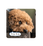 りゅう︎︎¨̮♡の日常会話♪♪（個別スタンプ：21）