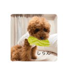 りゅう︎︎¨̮♡の日常会話♪♪（個別スタンプ：23）