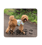 りゅう︎︎¨̮♡の日常会話♪♪（個別スタンプ：24）