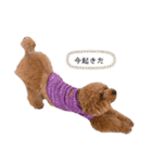 りゅう︎︎¨̮♡の日常会話♪♪（個別スタンプ：28）