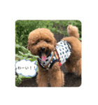 りゅう︎︎¨̮♡の日常会話♪♪（個別スタンプ：32）