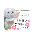 愛犬ジルちゃん！（個別スタンプ：5）