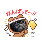 黒パグ小鉄（個別スタンプ：29）