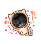 黒パグ小鉄（個別スタンプ：33）