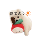 こいぬのもいちゃん（個別スタンプ：1）