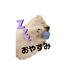 こいぬのもいちゃん（個別スタンプ：3）