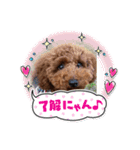 potato7（個別スタンプ：13）