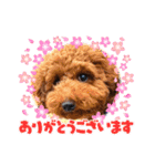 potato7（個別スタンプ：16）