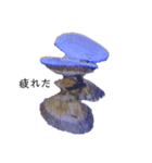 熱帯魚くん（個別スタンプ：5）