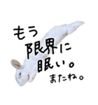 上から目線のロイドくん2（個別スタンプ：1）