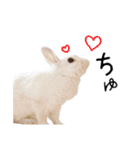 上から目線のロイドくん2（個別スタンプ：2）