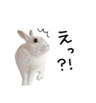 上から目線のロイドくん2（個別スタンプ：3）