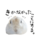 上から目線のロイドくん2（個別スタンプ：7）