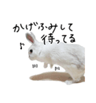 上から目線のロイドくん2（個別スタンプ：8）
