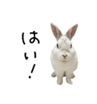 上から目線のロイドくん2（個別スタンプ：9）