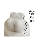 上から目線のロイドくん2（個別スタンプ：11）