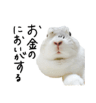 上から目線のロイドくん2（個別スタンプ：12）