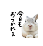 上から目線のロイドくん2（個別スタンプ：14）