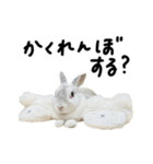 上から目線のロイドくん2（個別スタンプ：15）