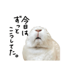 上から目線のロイドくん2（個別スタンプ：17）