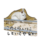上から目線のロイドくん2（個別スタンプ：18）