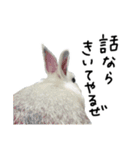 上から目線のロイドくん2（個別スタンプ：19）