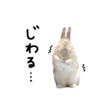 上から目線のロイドくん2（個別スタンプ：20）