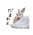 上から目線のロイドくん2（個別スタンプ：23）