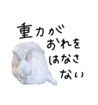 上から目線のロイドくん2（個別スタンプ：24）