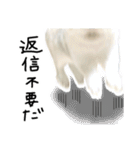 上から目線のロイドくん2（個別スタンプ：25）