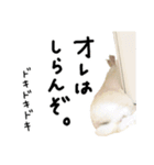 上から目線のロイドくん2（個別スタンプ：29）