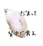 上から目線のロイドくん2（個別スタンプ：32）