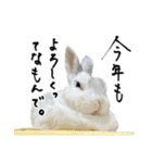 上から目線のロイドくん2（個別スタンプ：35）