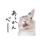 上から目線のロイドくん2（個別スタンプ：36）