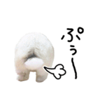 上から目線のロイドくん2（個別スタンプ：38）