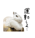 上から目線のロイドくん2（個別スタンプ：39）