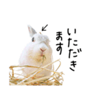 上から目線のロイドくん2（個別スタンプ：40）