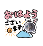 ニャー助 第二弾（個別スタンプ：1）