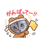 ニャー助 第二弾（個別スタンプ：3）