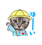 ニャー助 第二弾（個別スタンプ：6）
