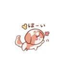 うちの丸いシーズー1（個別スタンプ：2）